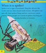 Tapa de Spiders and scorpions