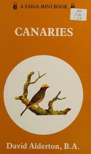 Tapa de Canaries