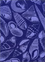 Tapa de Australian Marine Shells (2 Vol. Set with Slipcase)