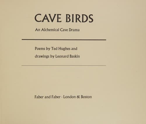 Tapa de Cave birds