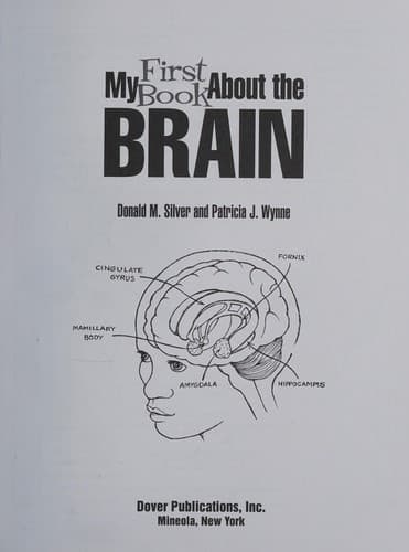 Tapa de My First Book about the Brain