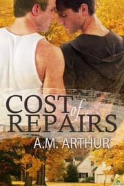 Tapa de Cost of Repairs