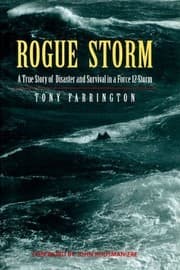 Tapa de Rogue storm
