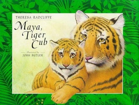 Tapa de Maya, tiger cub