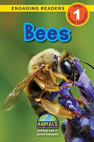 Tapa de Bees