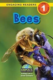 Tapa de Bees