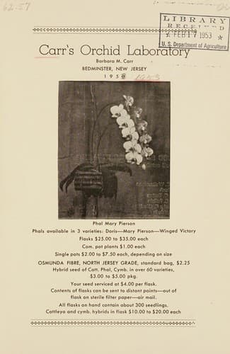 Tapa de 1953