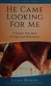 Tapa de He Came Looking for Me