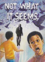 Tapa de Not What It Seems/WC/LEOP