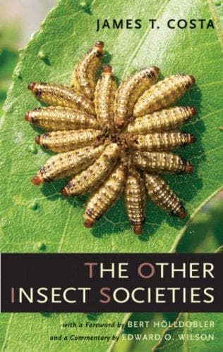 Tapa de The Other Insect Societies