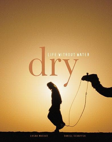 Tapa de Dry