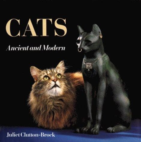 Tapa de Cats, ancient and modern