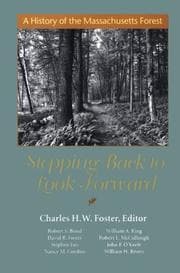 Tapa de Stepping Back to Look Forward