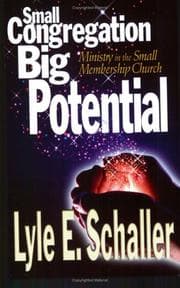 Tapa de Small Congregation, Big Potential