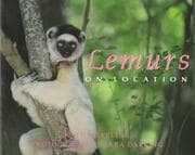 Tapa de Lemurs On Location