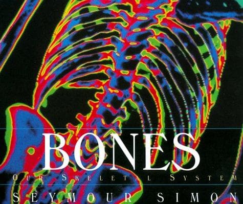 Tapa de Bones