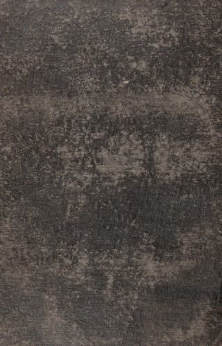 Tapa de Hayati