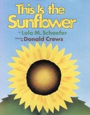 Tapa de This is the sunflower