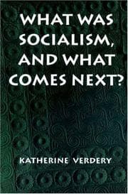 Tapa de What was socialism, and what comes next?