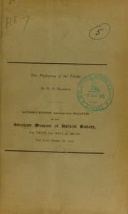 Tapa de The phylogeny of the felidae