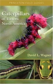 Tapa de Caterpillars of Eastern North America