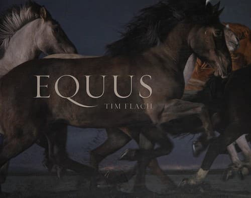 Tapa de Equus (Mini)