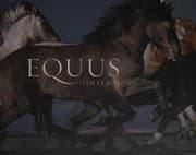 Tapa de Equus (Mini)