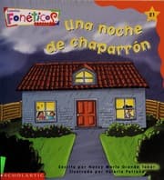 Tapa de Una noche de chaparrón
