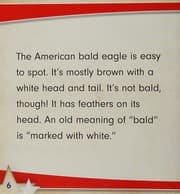 Tapa de The Bald Eagle