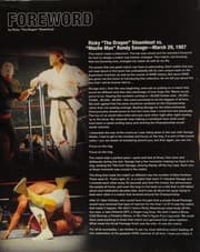 Tapa de WWE - 100 Greatest Matches