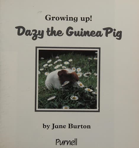 Tapa de Dazy the guinea pig