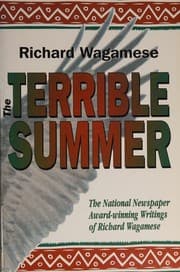 Tapa de The terrible summer