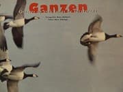 Tapa de Ganzen