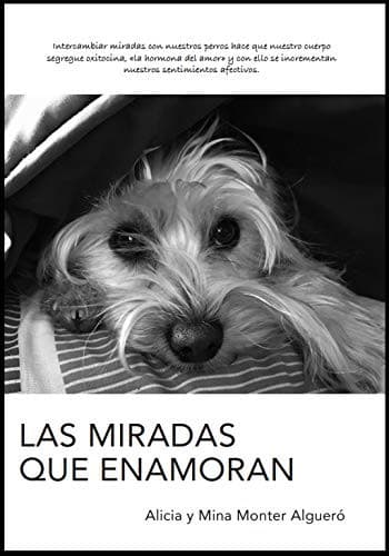 Tapa de LAS MIRADAS QUE ENAMORAN