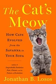 Tapa de Cat's Meow