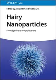 Tapa de Hairy Nanoparticles