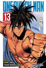 Tapa de One Punch-Man 13