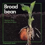 Tapa de Broad Bean