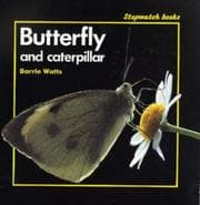 Tapa de Butterfly and Caterpillar (Stopwatch Big Books)