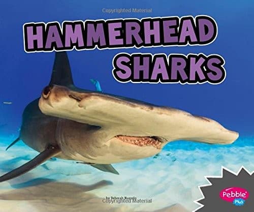 Tapa de Hammerhead Sharks