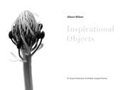 Tapa de Inspirational Objects