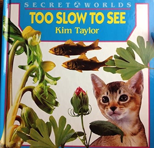 Tapa de Too slow to see