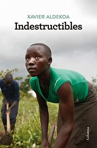 Tapa de Indestructibles
