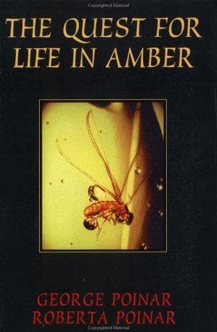 Tapa de The quest for life in a