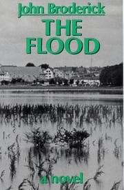 Tapa de The flood
