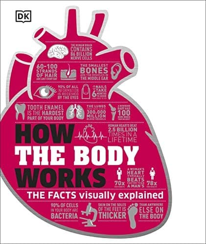 Tapa de How the Body Works