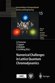 Tapa de Numerical challenges in lattice quantum chromodynamics