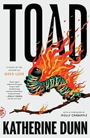 Tapa de Toad