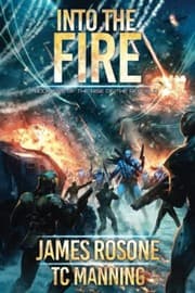 Tapa de Into the Fire