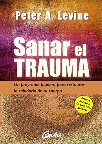 Tapa de Sanar el trauma